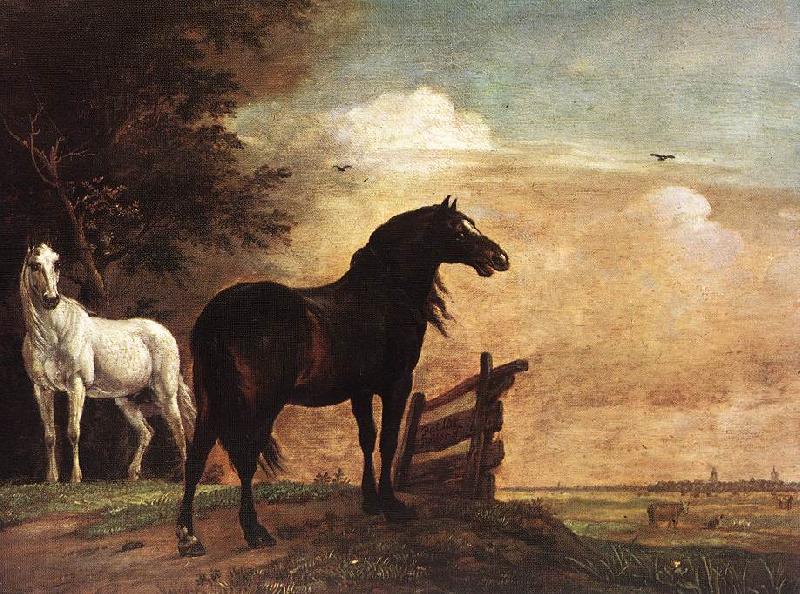 POTTER, Paulus Horses in a Field zg oil painting picture